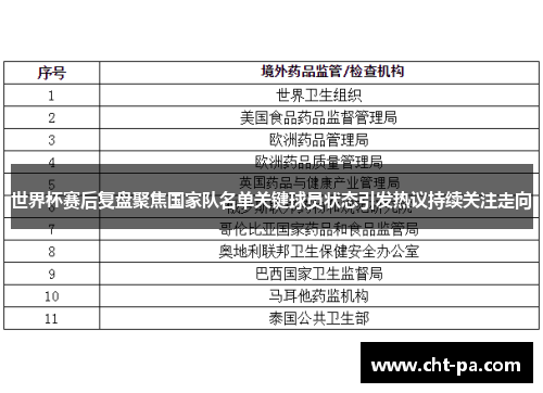 世界杯赛后复盘聚焦国家队名单关键球员状态引发热议持续关注走向